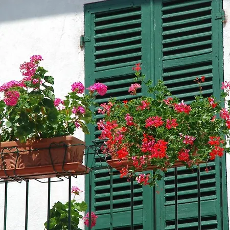 La Casa In Collina Bed & Breakfast