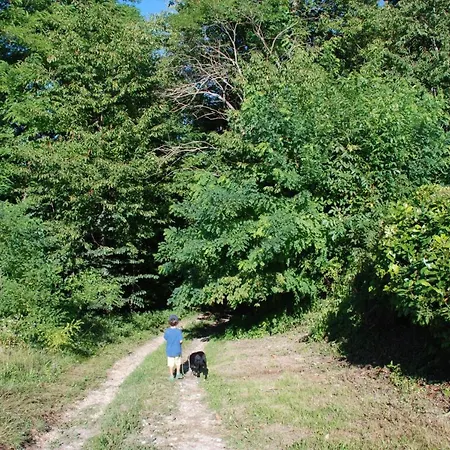 La Casa In Collina 3* Vicoforte